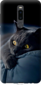Чехол Дымчатый кот для Meizu Note 8