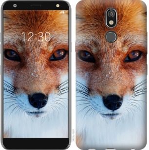 

Чохол Руда лисиця на LG K40 764014