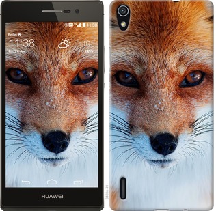 

Чехол Рыжая лисица для Huawei Ascend P7 78777
