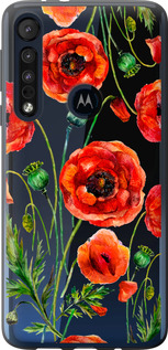 

Чехол Нарисованные маки для Motorola One Macro 1633980