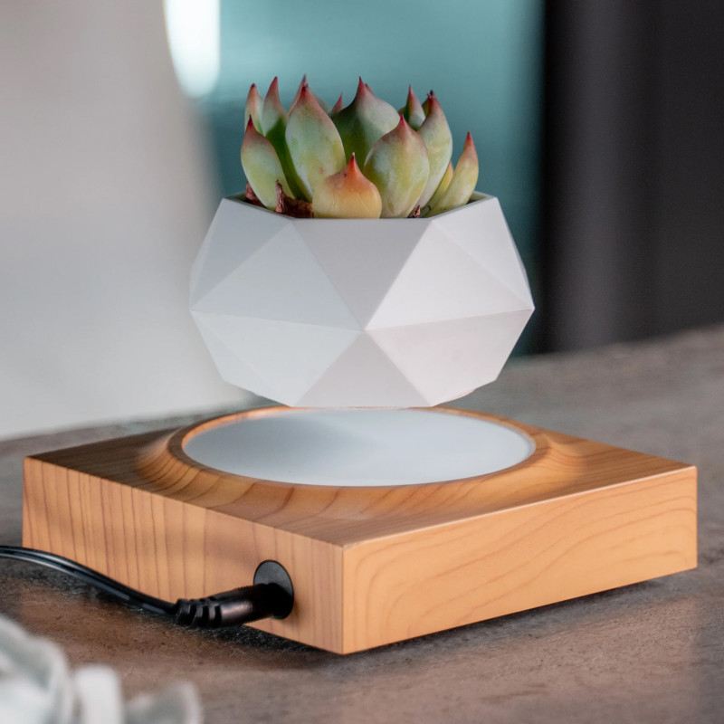 Фото Магнитный левитационный вазон для цветов HCNT Magnetic Levitating Pot M10-FP (Wood Grain) на vchehle.ua