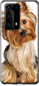 Чехол Йоркширский терьер с хвостиком для Huawei P40 Pro Plus