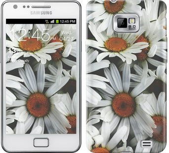 

Чохол Ромашки v2 на Samsung Galaxy S2 i9100 127084