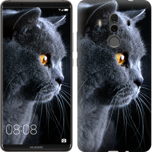 

Чехол Красивый кот для Huawei Mate 10 Pro 626686