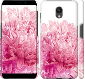 

Чохол Хризантема на Meizu M6s 844414