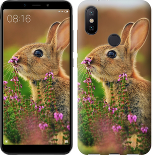 

Чехол Кролик и цветы для Xiaomi Mi A2 656664