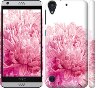 

Чехол Хризантема для HTC Desire 630 844236