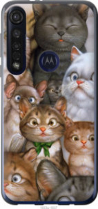 Чехол коты для Motorola G8 Plus
