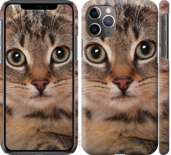 

Чехол Полосатый котик для iPhone 11 Pro Max 780389