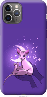 

Чехол Кот2 для iPhone 12 Pro 1065876