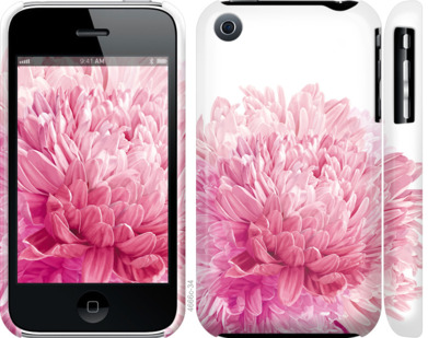 

Чохол Хризантема на iPhone 3Gs 844074