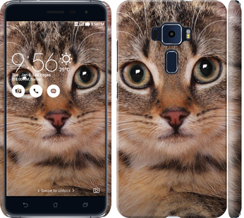 

Чохол Смугастий котик на Asus Zenfone 3 ZE520KL 175837