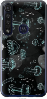 

Чохол Медузи на Motorola G8 Plus 1393399