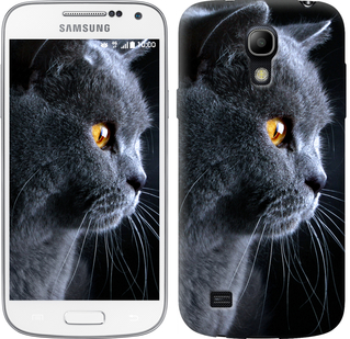 

Чехол Красивый кот для Samsung Galaxy S4 mini 116876