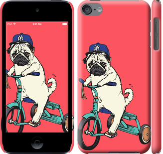 

Чохол Мопс на велосипеді на iPod Touch 6 642761