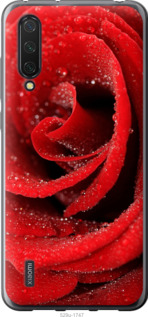 

Чохол Червона троянда на Xiaomi Mi 9 Lite 1574011
