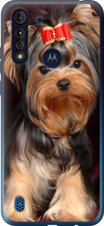 

Чехол Йоркширский терьер для Motorola G8 Power Lite 1634929