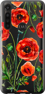 

Чохол Намальовані маки на Motorola G8 Power 1633968