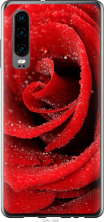 

Чохол Червона троянда на Oppo Find X2 948565