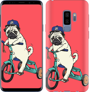 

Чехол Мопс на велосипеде для Samsung Galaxy S9 Plus 642764