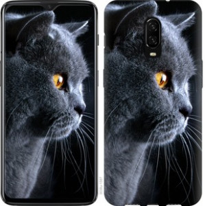 Чехол Красивый кот для OnePlus 6T