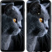 Чехол Красивый кот для OnePlus 6T