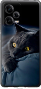 Чехол Дымчатый кот для Xiaomi Redmi Note 12 Pro 5G