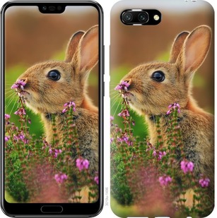 

Чохол Кролик і квіти на Huawei Honor 10 677416