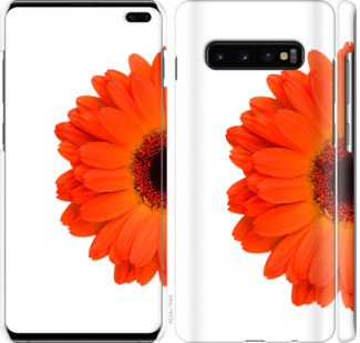 

Чехол Гербера 1 для Samsung Galaxy S10 Plus 802308