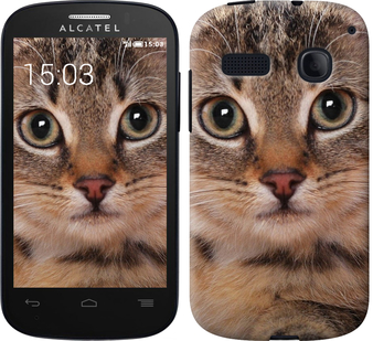 

Чехол Полосатый котик для Alcatel One Touch Pop C3 4033D 175882