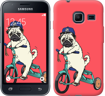 

Чехол Мопс на велосипеде для Samsung Galaxy J1 Mini J105H 87589
