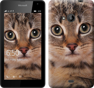 

Чехол Полосатый котик для Microsoft Lumia 535 175857
