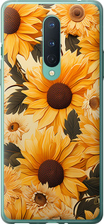 

Чохол Соняшники 2 на OnePlus 8 1647151