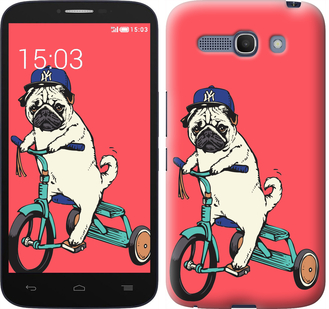 

Чехол Мопс на велосипеде для Alcatel One Touch POP C9 658524