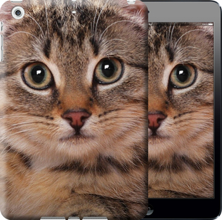 

Чохол Смугастий котик для iPad mini 4 655396