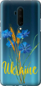 Чехол Ukraine v2 для OnePlus 7T Pro