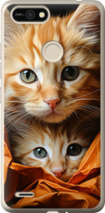 Чехол Котики 2 для Tecno Pop 2F B1F
