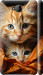 Чехол Котики 2 для Nokia Lumia 650