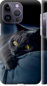 Чехол Дымчатый кот для iPhone 14 Pro Max