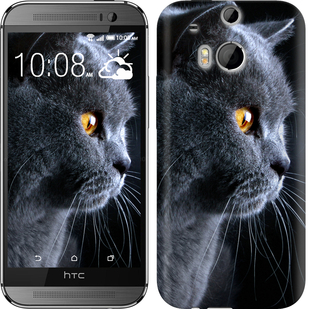 

Чохол Гарний кіт на HTC One M8 116936