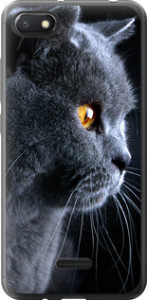 Чехол Красивый кот для Xiaomi Redmi 6A