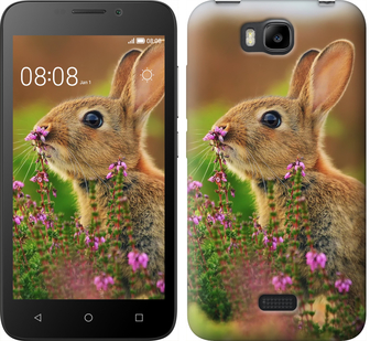 

Чехол Кролик и цветы для Huawei Y5C 150126