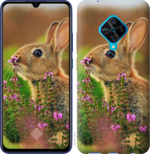 

Чохол Кролик і квіти на Vivo V17 879617