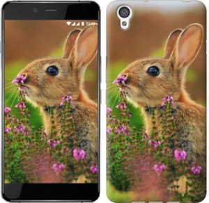 Чехол Кролик и цветы для OnePlus X