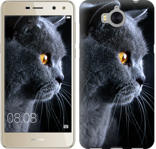 

Чохол Гарний кіт на Huawei Y5 2017 626691