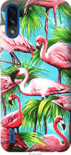

Чохол Tropical background на Motorola E7 Power 1220397