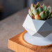 Купить Магнитный левитационный вазон для цветов HCNT Magnetic Levitating Pot M10-FP (Wood Grain) на vchehle.ua