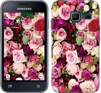 

Чехол Розы и пионы для Samsung Galaxy J1 Mini J105H 651952