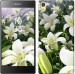 Чехол Белые лилии для Sony Xperia Z5 E6633