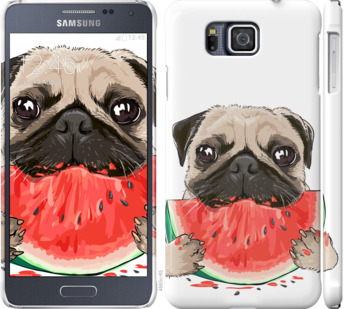 

Чохол Мопс і кавун на Samsung Galaxy Alpha G850F 843413